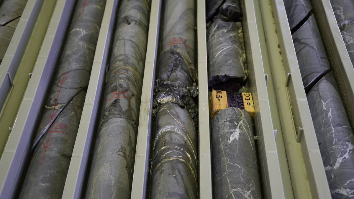 Core samples from mineral exploration drilling.
