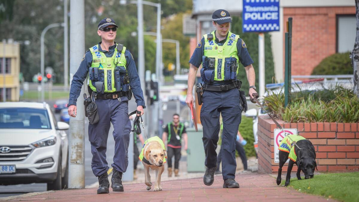 CRIME SNIFFERS: Senior Constable Will Flynn with police dog Quinn and First Class Constable Dan Eastwood with Una. Picture: Paul Scambler.