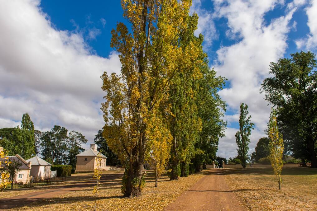 WORLD HERITAGE: Woolmers Estate is one of seven convict-related UNESCO World Heritage sites in Tasmania. Its 200th birthday celebrations will focus on its convict history. Picture: Phillip Biggs
