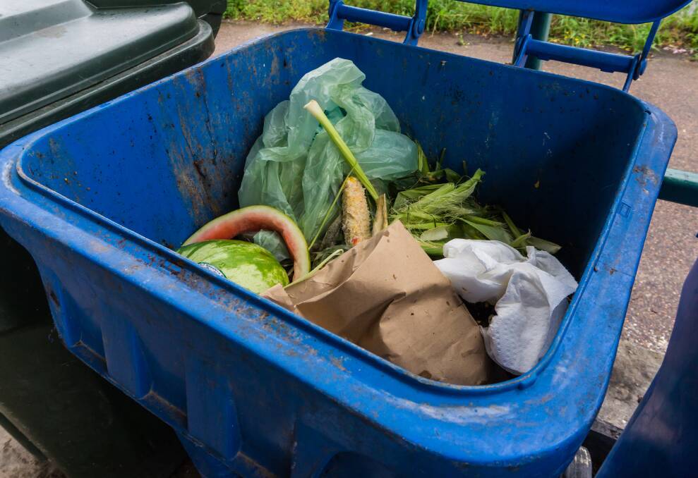 GREEN BINS: The council said the trial would be too expensive to be feasible. 