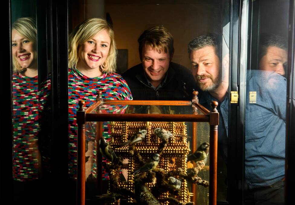 QVMAG: Visual arts curator Ashleigh Whatling, history curator Jon Addison and natural sciences curator David Maynard. Picture: Scott Gelston