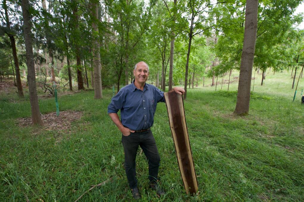 TREE GROWER: Rowan Reid is the managing director of the not-for-profit Australian Agroforestry Foundation and teaches agroforestry at The University of Melbourne. Picture: Supplied