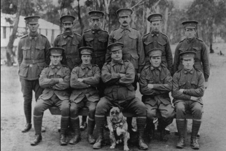 A group of battalion members, with their mascot Tassy. The battalion consisted of more than 1000 soldiers when it was formed. Picture: Supplied