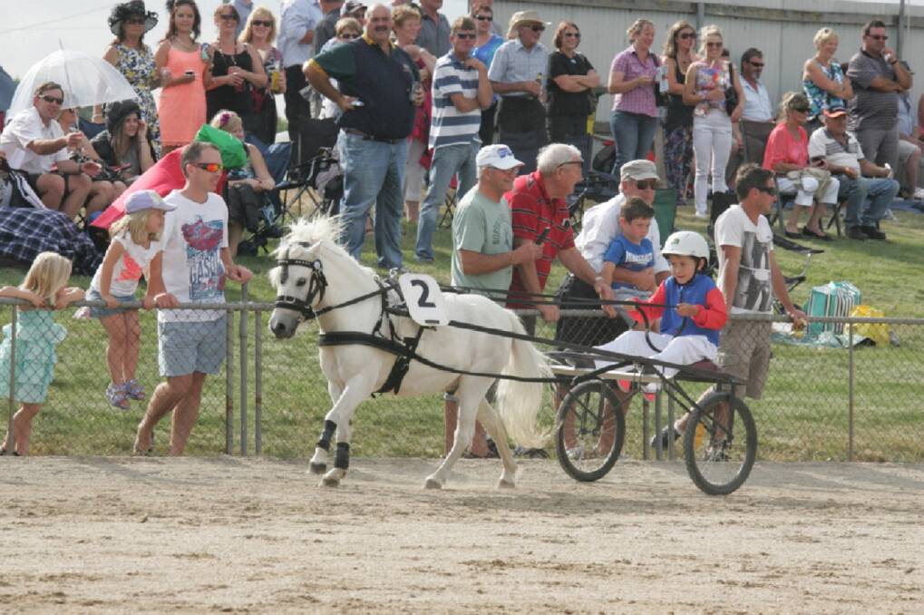 THE TROTS:  Dylan Dornauf competing at the track in the pony trot category. Picture: Supplied