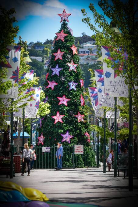 TRADITIONAL: Launceston's Christmas tree in 2017. Picture: Paul Scambler