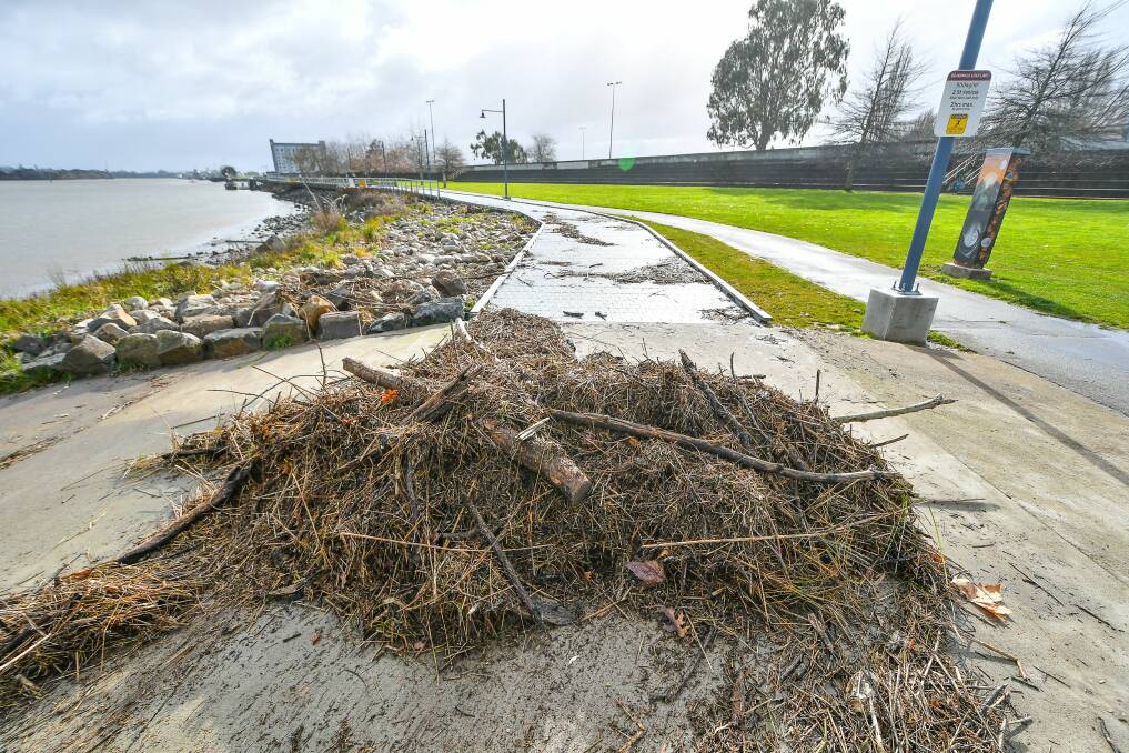 STRONG WIND: Debris washed up at Royal Park from Tuesday's king tide. Picture: Scott Gelston