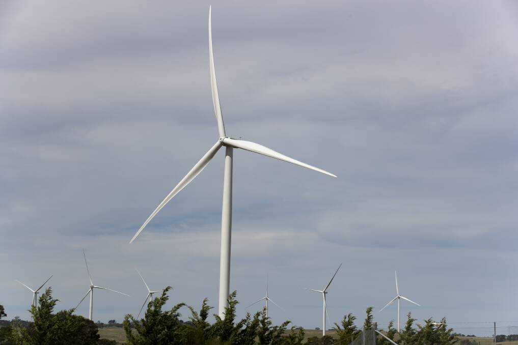 Wind farm proposed for endangered eagle area
