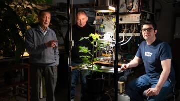 TECH: Australian National University plant physiologists Dr Chin Wong, Professor Graham Farquhar and Dr Diego Marquez have contributed to research which could make plants more drought resistant. Picture: Tracey Nearmy