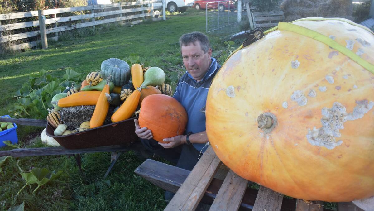 PUMPKIN PATCH: Relbia's Warren Prewer with a selection of vegetables from his property.