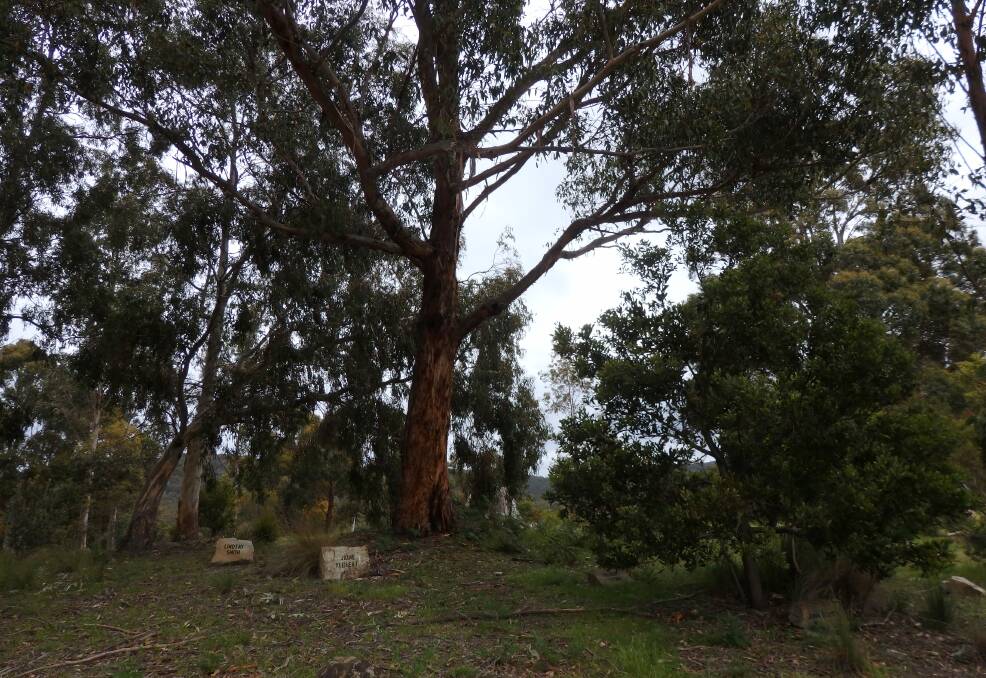 ALL NATURAL: A bushland burial site in Southern Tasmania. The possibility of a natural burial sites in Tasmania's north will be discussed at a meeting on Thursday night.