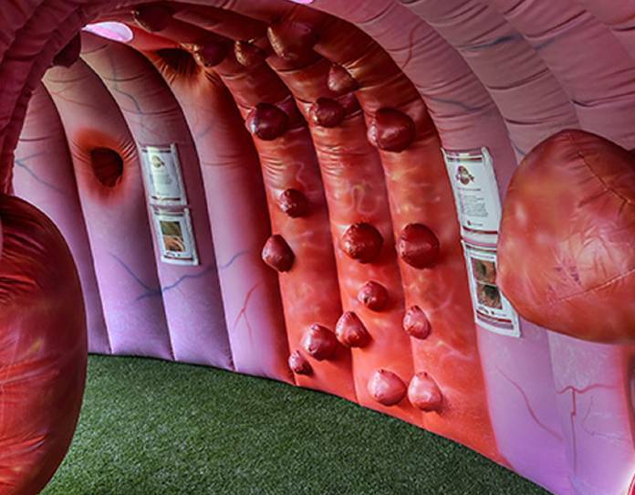 COLON COMES ALIVE: The view from inside the Big Bowel which will be at North Launceston Bunnings on Tuesday. It is touring Tasmania as part of Bowel Cancer Awareness Month. Picture: Supplied