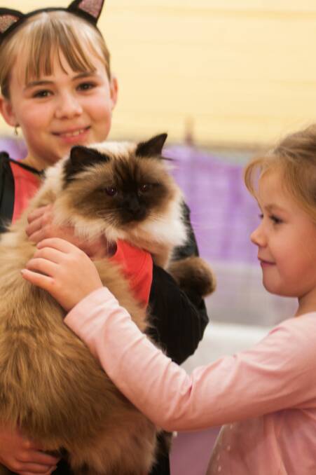 EARS ON EARL: Mia Earl, 9, and Lucy Watson, 5, at the Evandale Cat Show on Sunday. Picture: Phillip Biggs