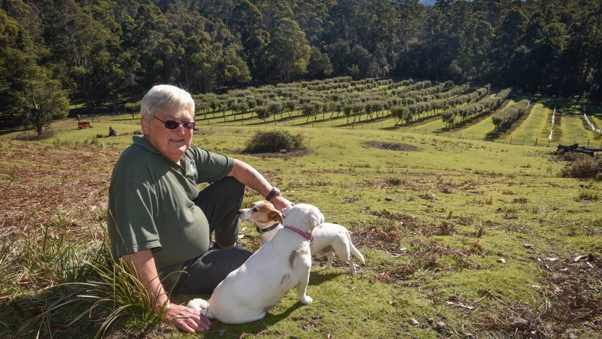 Noel, with dogs Annie and Jock, take in the view of their truffle farm. 