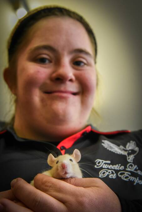 Shop assistant Chloe Hansson and one of the pet rats at Tweetie L'amour Pet Emporium at Invermay. Picture: Paul Scambler 