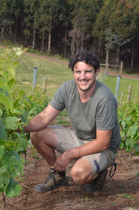 Sinapius Vineyard founder Vaughn Dell died suddenly in May. 