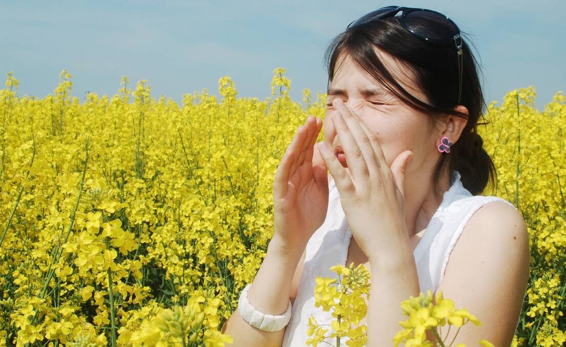 The most common cause of hay fever in Tasmania at this time of year was most likely grass pollen. Picture: Shutterstock 