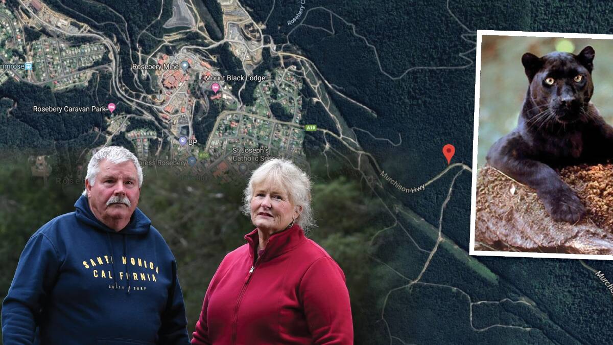 SHOCKED: Rosebery visitors Graham Darby and Helena Croker were astounded by their experience, and later said they felt privileged to have seen the animal, which they said resembled a black panther (inset). The red pin on the map shows where the encounter happened. Picture: Brodie Weeding, Google maps