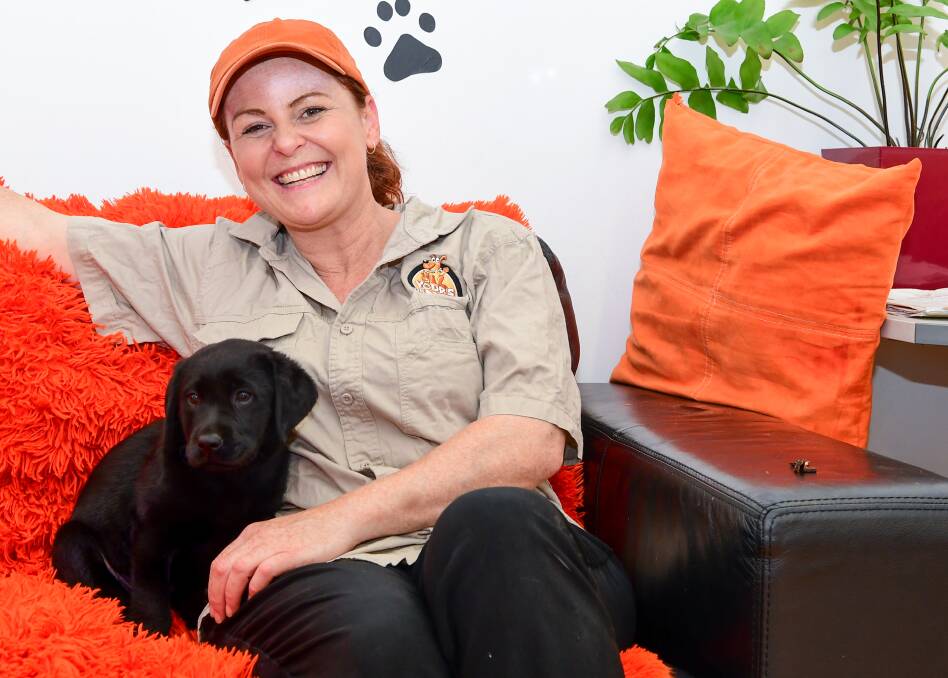 EXCITED: Yours in Paws dog daycare and training owner Jill Dawson, with puppy Eno. Picture: Neil Richardson 