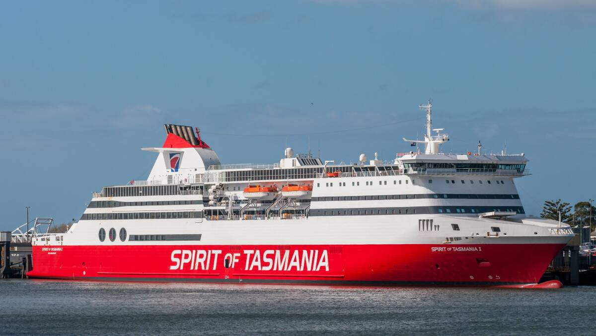 Spirit of Tasmania operators TT-Line and QUBE Holdings is being sued for negligence over the death of 13 horses in January. 
