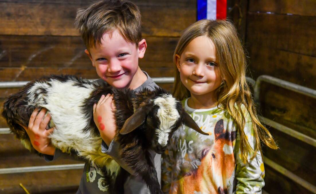 The kids were a big hit at Sunday’s Goatfest at Launceston Showground. Pictures: Scott Gelston 