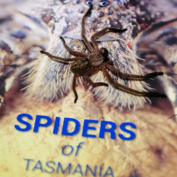 A Huntsman spider gets a closer look at Mr Douglas' new book, Spiders of Tasmania. Picture: Neil Richardson 