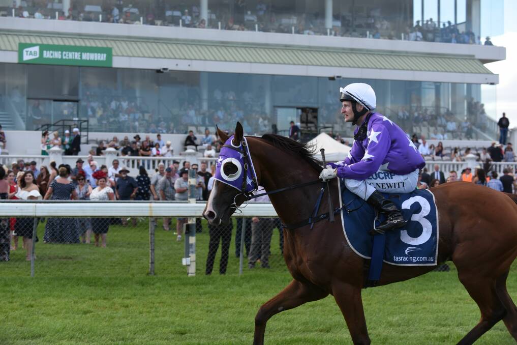 Eastender and jockey Craig Newitt took out the 2019 Launceston Cup and had hoped to continue their winning streak in the $400,000 Adelaide Cup on Monday. Picture: Paul Scambler 