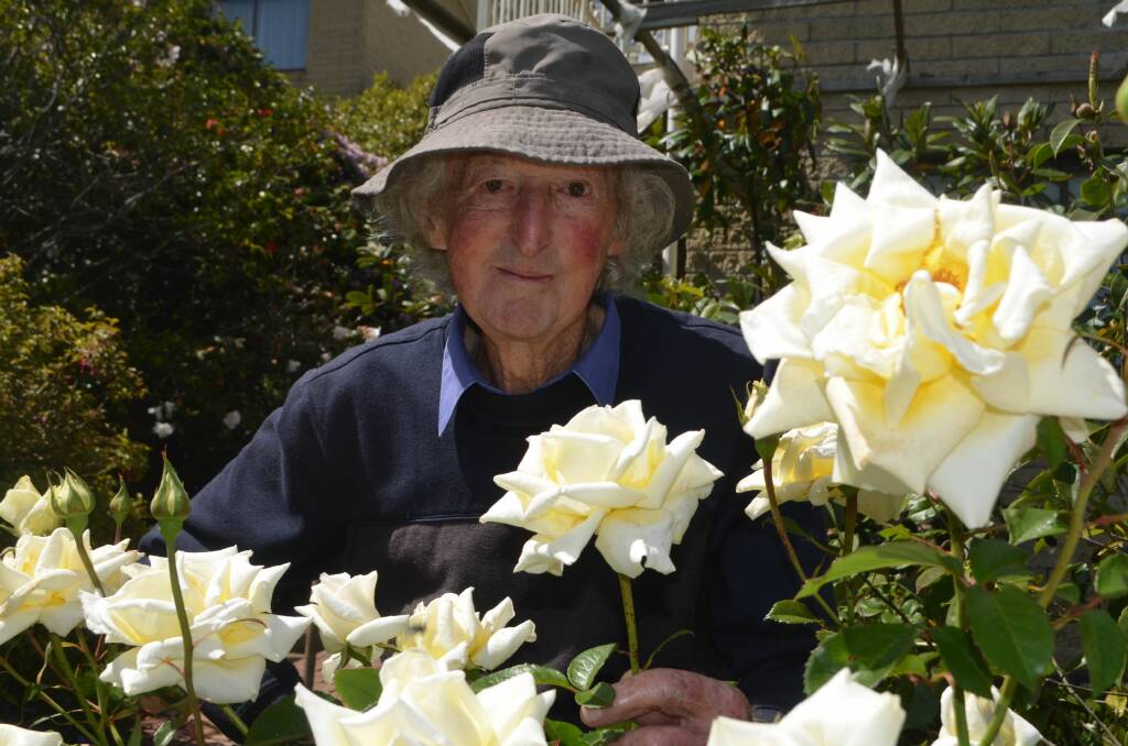 Stop and smell the roses: Launceston Horticultural Society life member Ray Hawkins ahead of the weekend's Rose, Iris and Rhododendron Show at St Ailbes Hall. Picture: Jessica Willard