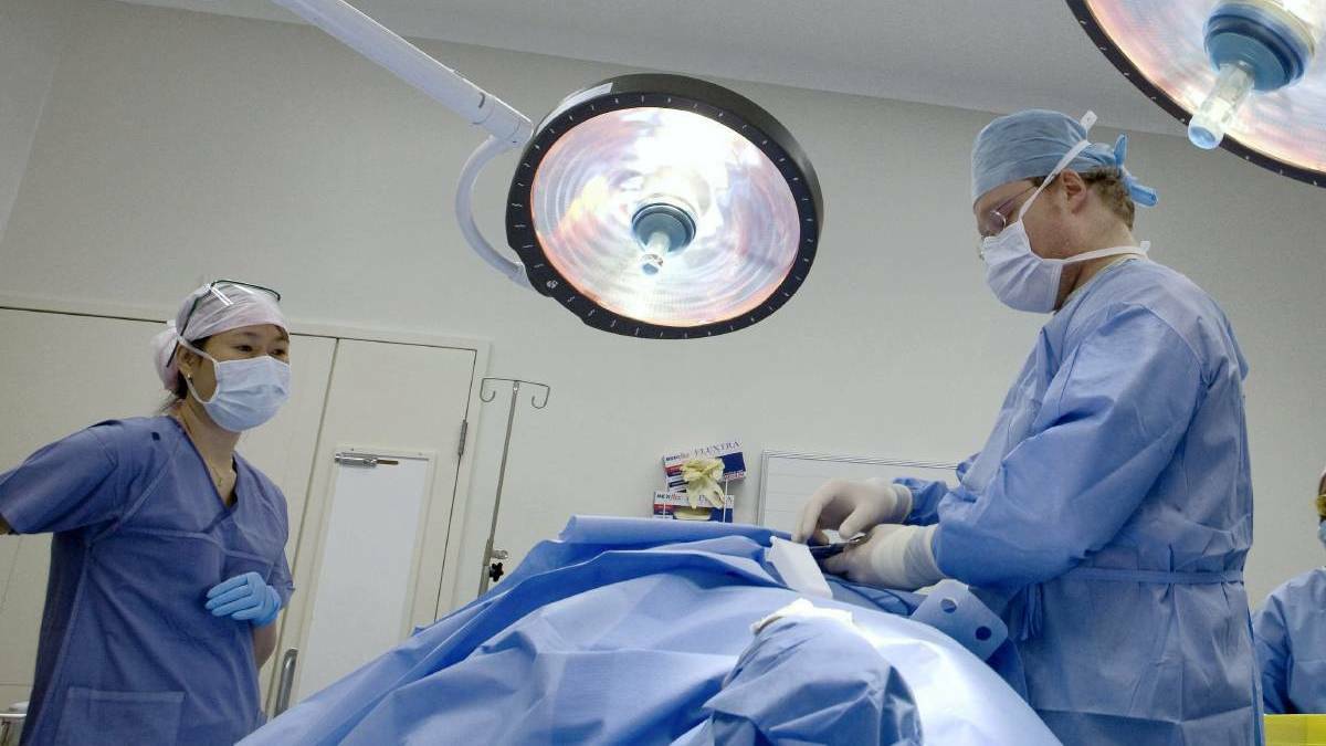 Elective surgery waiting lists at 'all time high' pre-COVID restrictions