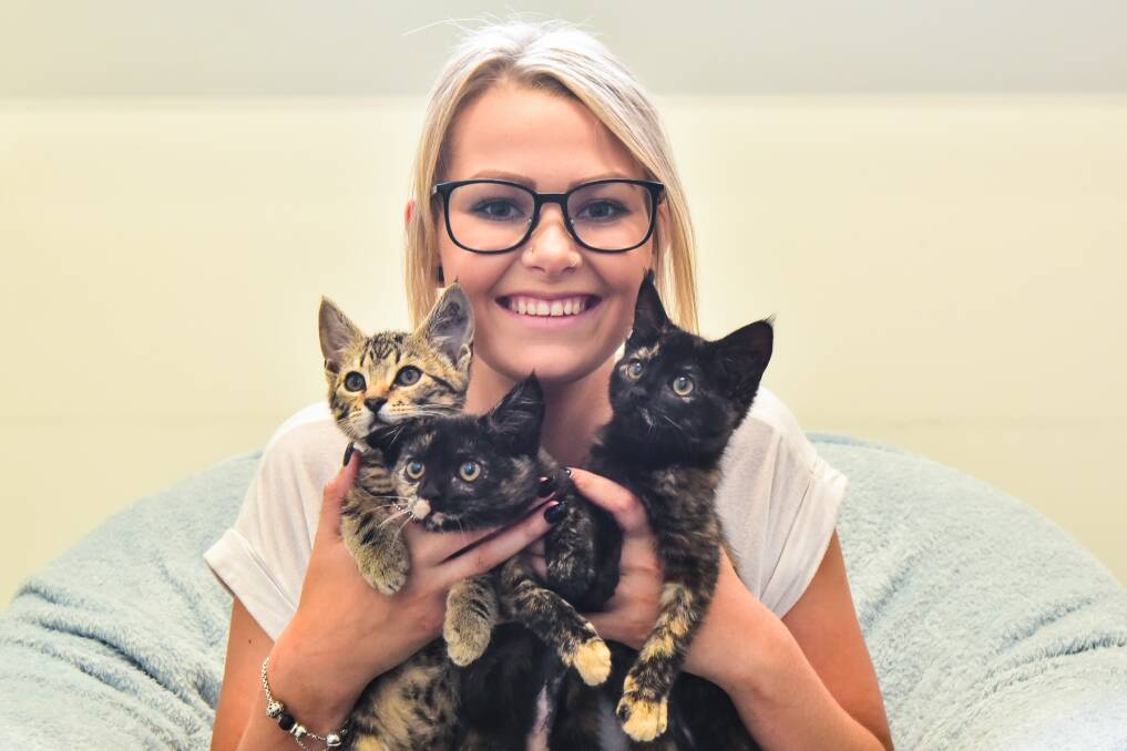 ADOPTION: Just Cats' Georgina Dare with kittens Zana, Lola and Suzi, who are all available for adoption. Picture: Neil Richardson 
