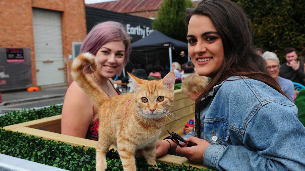FUN: Alyce Johnstone and Emma Beeton with Darcy the cat at Saturday's inaugural A Day at the Kingsway event. Picture: Paul Scambler. 
