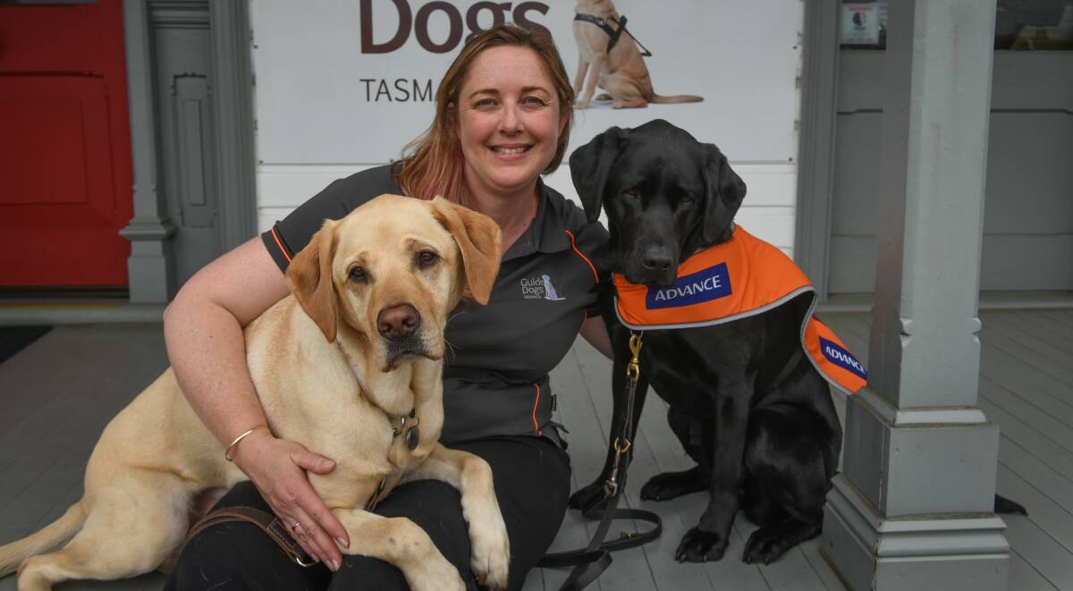 Guide Dogs Tasmania coordinator Kim Ryan, with soon to be guide dogs Harvey and Harper. Picture: Paul Scambler 