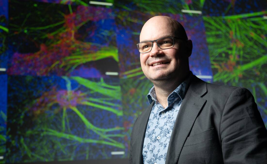 PIONEERING: Associate Professor Tony Cook, of the University of Tasmania's Wicking Dementia Research Centre, is leading the mini-brain project examining dementia and traumatic brain injury. Picture: Peter Mathew