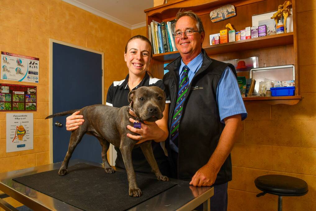 TEAM: Sally-Anne Richter is the new owner of Mowbray Veterinary Clinic, taking over from Peter de Boer, pictured with Luna. Picture: Scott Gelston