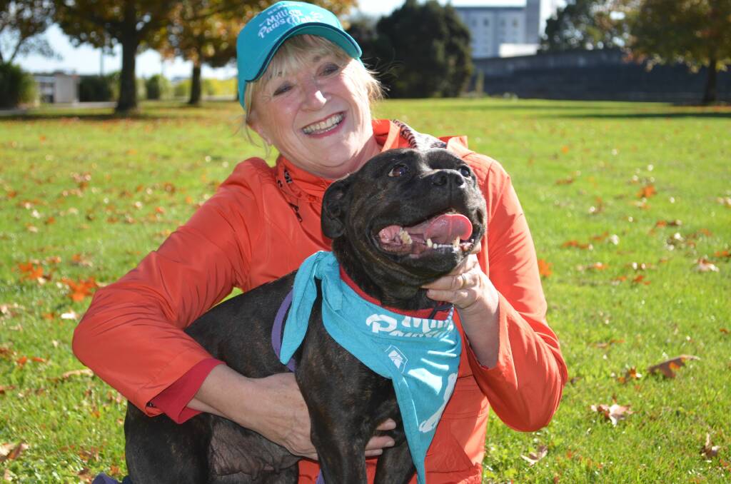 GOOD CAUSE: Launceston MLC Rosemary Armitage, who will lead this year's RSPCA Million Paws Walk, with three-year-old Mica the English staffie. Picture: Jessica Willard 