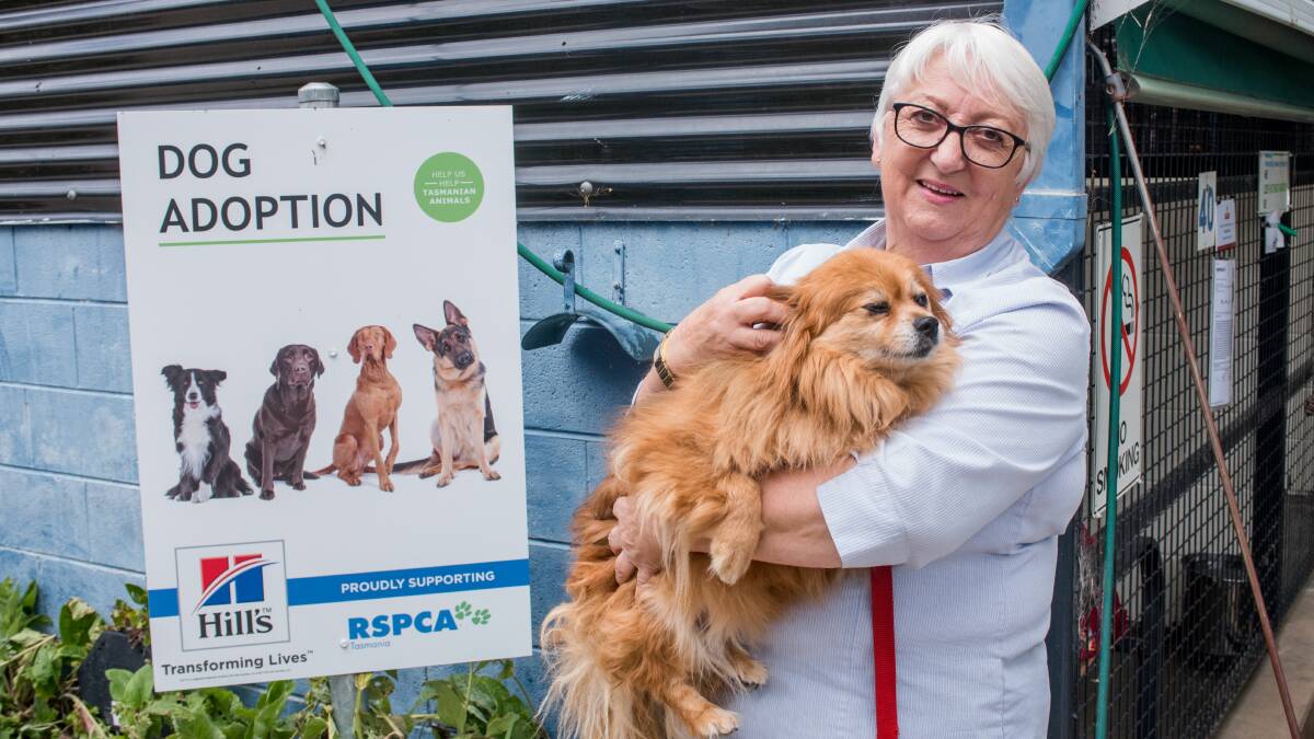 Centre manager Lorraine Hamilton has worked at the Mowbray site for the past 10 years, and with the RSPCA for 28 years. 