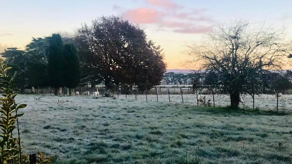 The Examiner's readers have shared some amazing photos of the frost that blanketed Northern Tasmania on Friday morning. Pictures: Supplied 