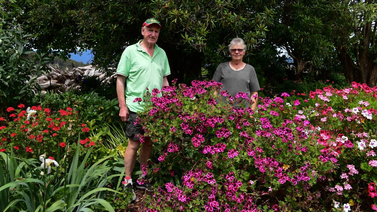 Scottsdale Hospital Auxiliary vice president Deanna Scott with husband Bruce, ahead of Saturday's open garden. Picture: Neil Richardson 
