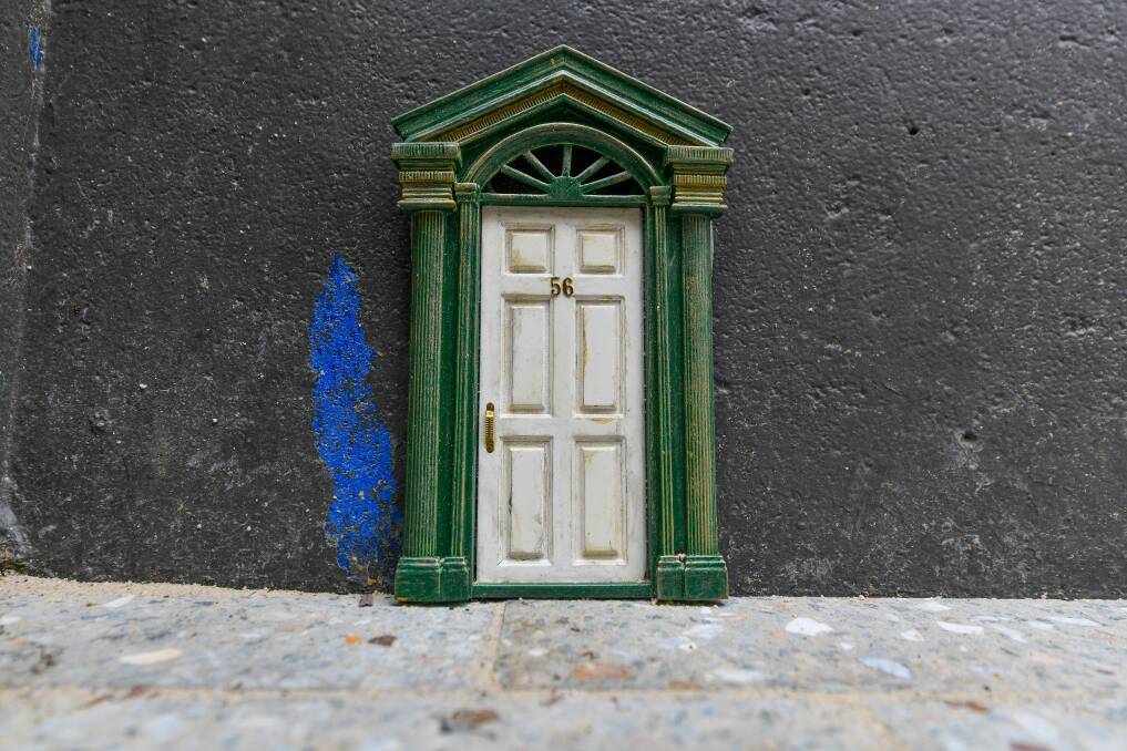 A number of tiny doors have suddenly appeared around Launceston. Pictures: Scott Gelston