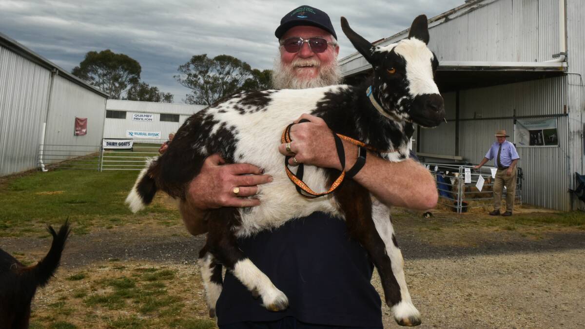 SHOW: Goat breeder and event organiser Carl Roberts said there will be something for everyone at this year's Goatfest, on Sunday at Launceston showground. Picture: Neil Richardson