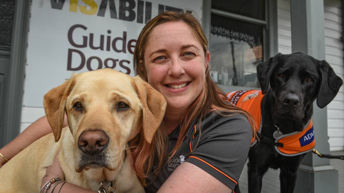 HELP: Guide Dogs Tasmania coordinator Kim Ryan, with soon to be guide dogs Harvey and Harper. The organisation is calling for more volunteers to help raise guide dog puppies. Picture: Paul Scambler 