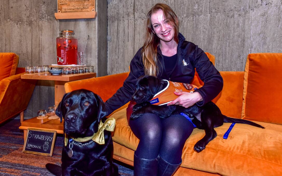 Archie the Silo Dog, with Guide Dogs Tasmania community fundraising coordinator Kristy Wright and future guide dog Victor. Pictures: Neil Richardson 