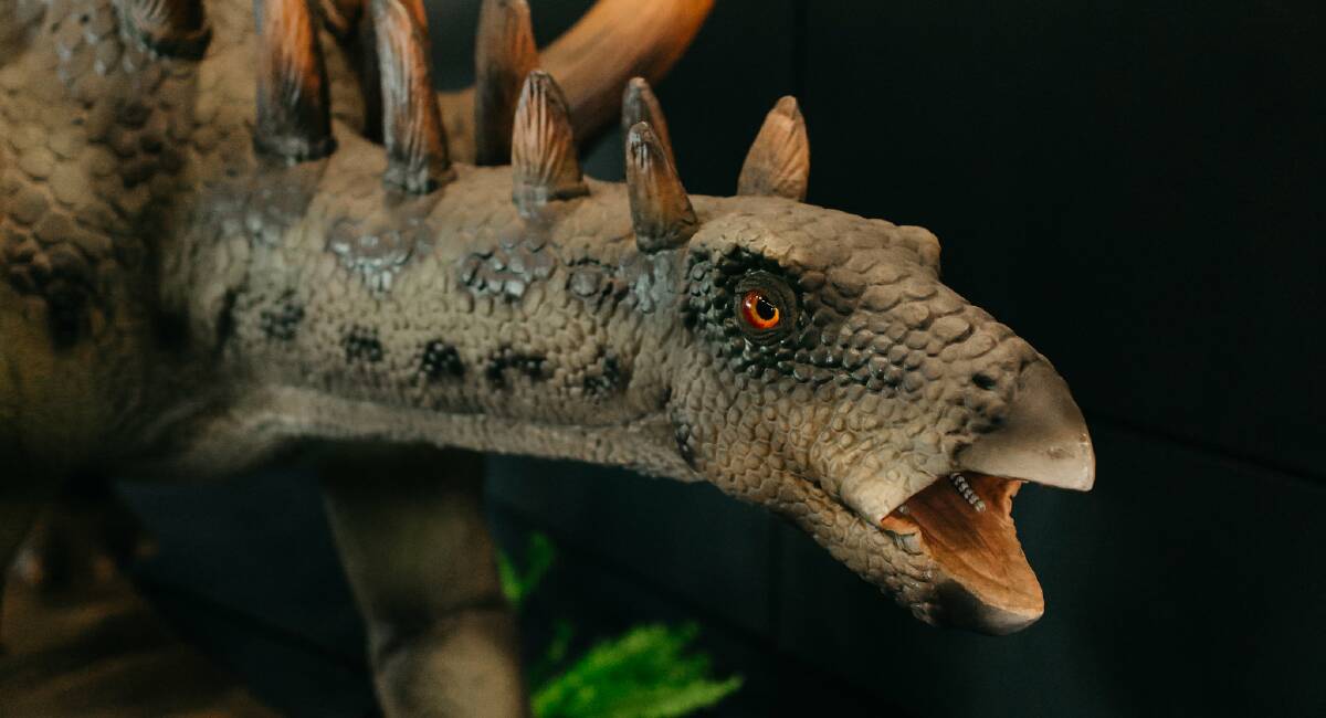 A new exhibition titled Dinosaur rEvolution Secrets of Survival, has opened in Hobart.