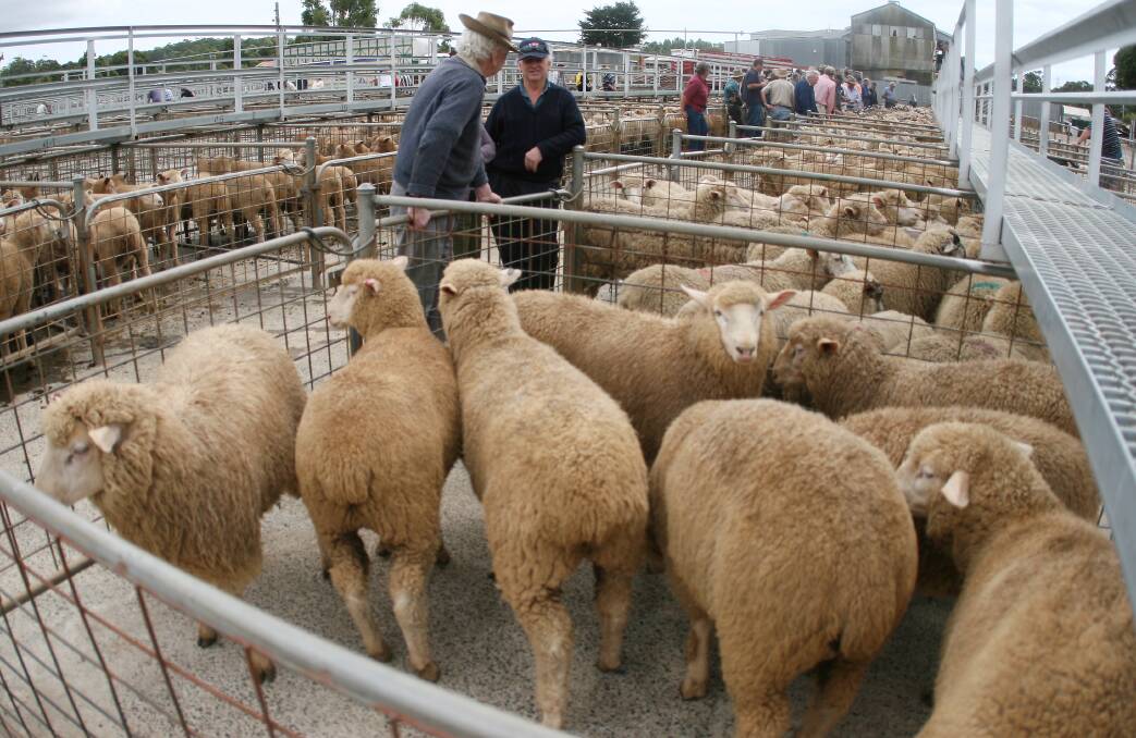 Centralising: Roberts said it expected to complete the closing and decommissioning of its saleyard near Devonport by June this year. Picture: File
