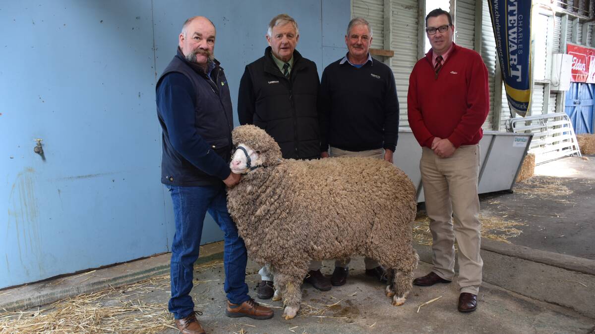 TOP RAM: Craig Trickey, Andrew Sloan, Andrew Calvert and Ross Milne with the top-priced ram at the Ballarat annual ram sale on Monday.