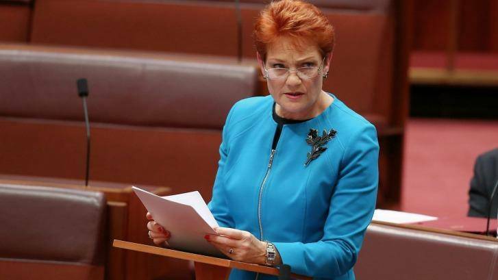 One Nation Senator Pauline Hanson
