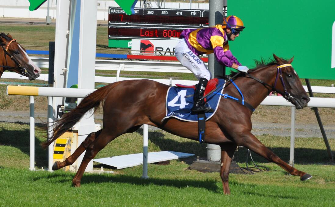 Hobart Cup runner-up Shady Hustle resumes at Elwick on Sunday in the best quality race since the shutdown.