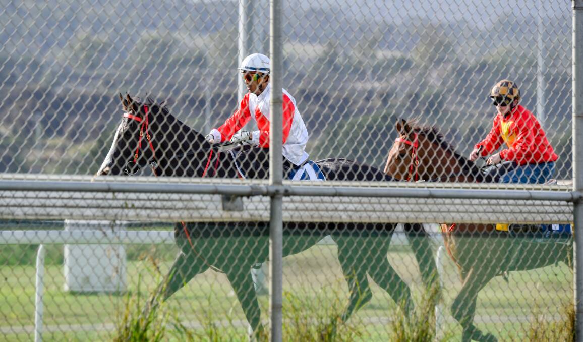 BEHIND THE FENCE: Caesar's Quest and Sanction King head to the barriers for their trial at Mowbray on Wednesday. With access to the track severely restricted, photographs had to be taken from an adjacent street. Picture: Paul Scambler