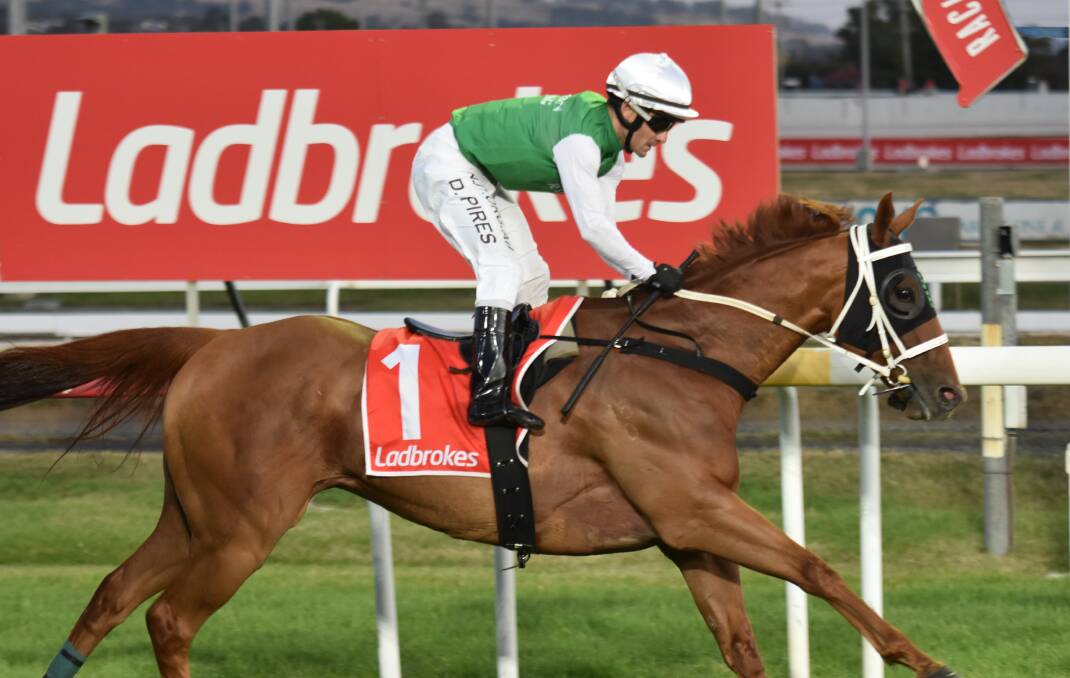 OLD FIRM: Jockey David Pires reunites with top galloper Hellova Street to win the $50,000 Ladbrokes Stakes at Mowbray on Wednesday night.