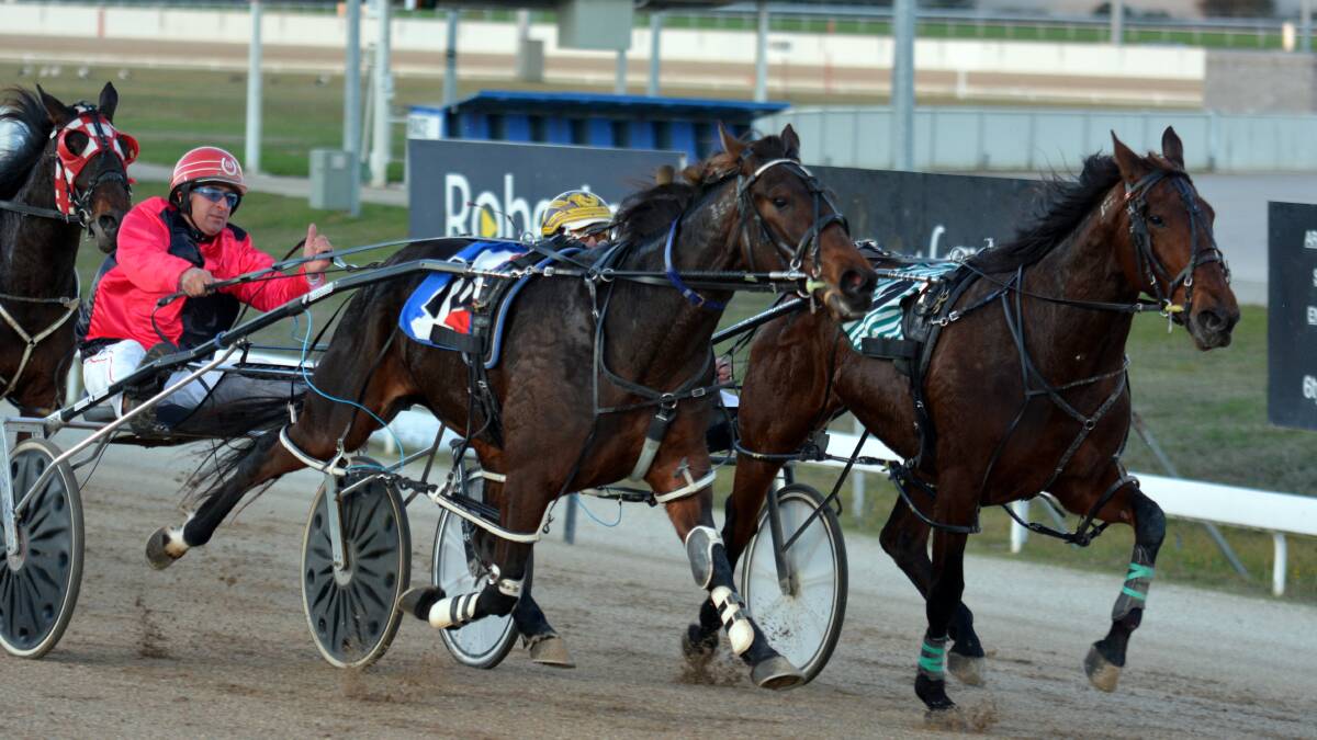 BIG MONEY: Tasmanian filly El Jays Mystery (outside), driven by Ricky Duggan, narrowly beats Playing Arkabella at Mowbray. She has qualified for a $190,000 race in Victoria on Sunday. Picture: Tasracing
