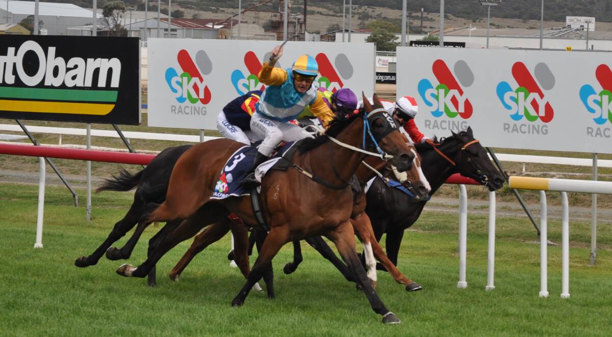 HE'S BACK: Tiesto, ridden by Jason Maskiell, wins the Gold Sovereign in February. He returns to Tasmanian racing in the 3YO Cup at Mowbray on Wednesday night. Picture: Greg Mansfield